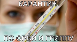 В Архангельске объявлен карантин по гриппу и ОРВИ